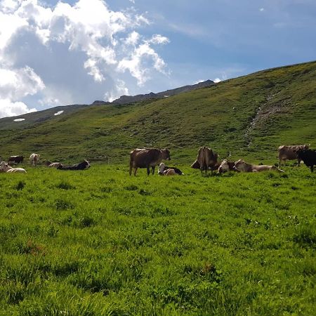 Вилла Agriturismo Malga Dell'Alpe Вальфурва Экстерьер фото
